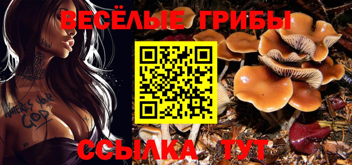 Нефтеюганск  Галлюциногенные грибы Cubensis  Вход с VPN 